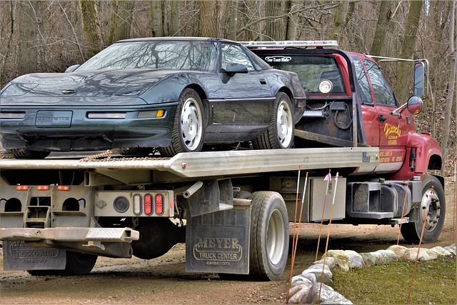 Bezpieczeństwo podczas transportu - jakie akcesoria będą niezbędne?